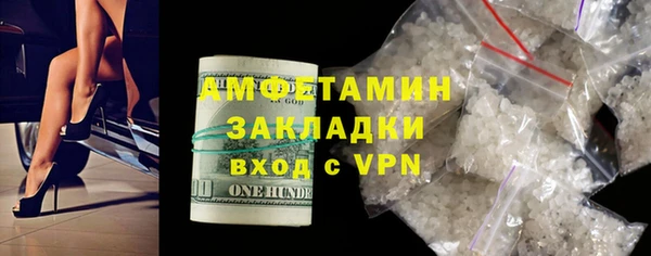 индика Белая Холуница