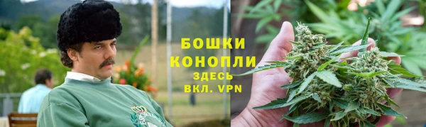индика Белая Холуница