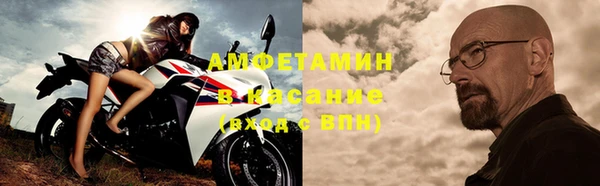 индика Белая Холуница