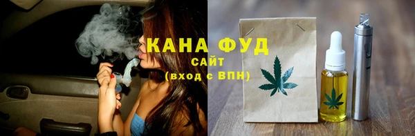 индика Белая Холуница
