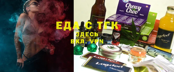 индика Белая Холуница