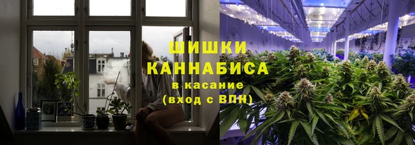 индика Белая Холуница