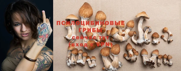 индика Белая Холуница