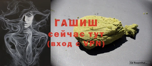 индика Белая Холуница