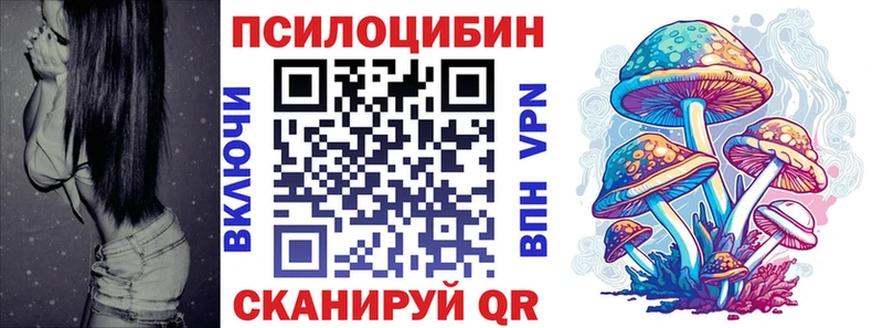 закладка Инза Галлюциногенные грибы Cubensis